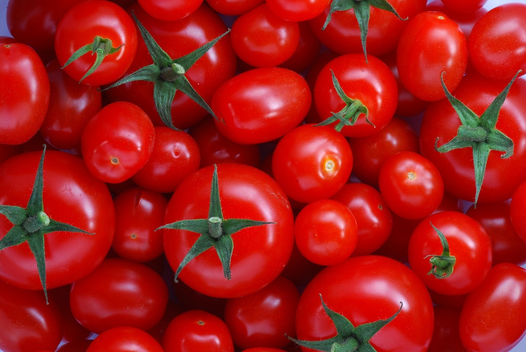kanserle mücadele eden besinler - domates