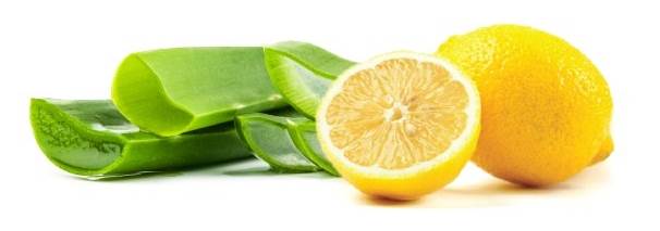limon ve aloe vera cilt lekesi tedavisi